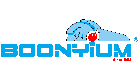 BOONYIUM AND ASSOCIATES LTD